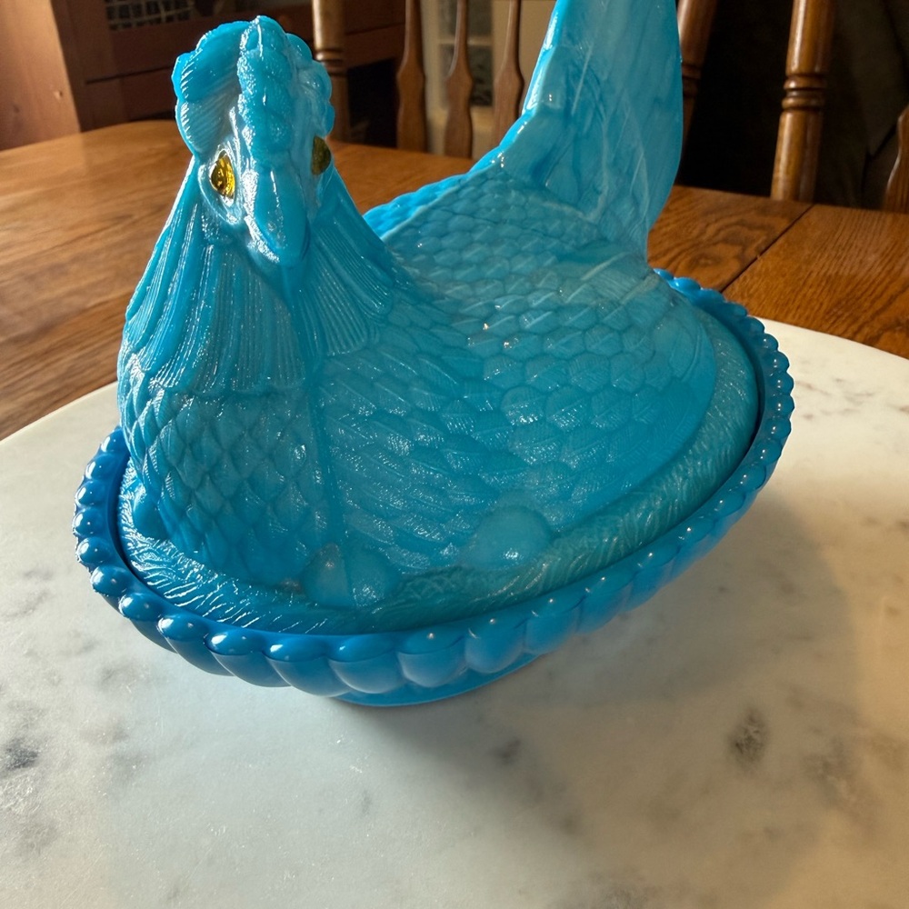 RARE Blue Slag Hen on Nest